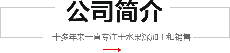 公司簡(jiǎn)介